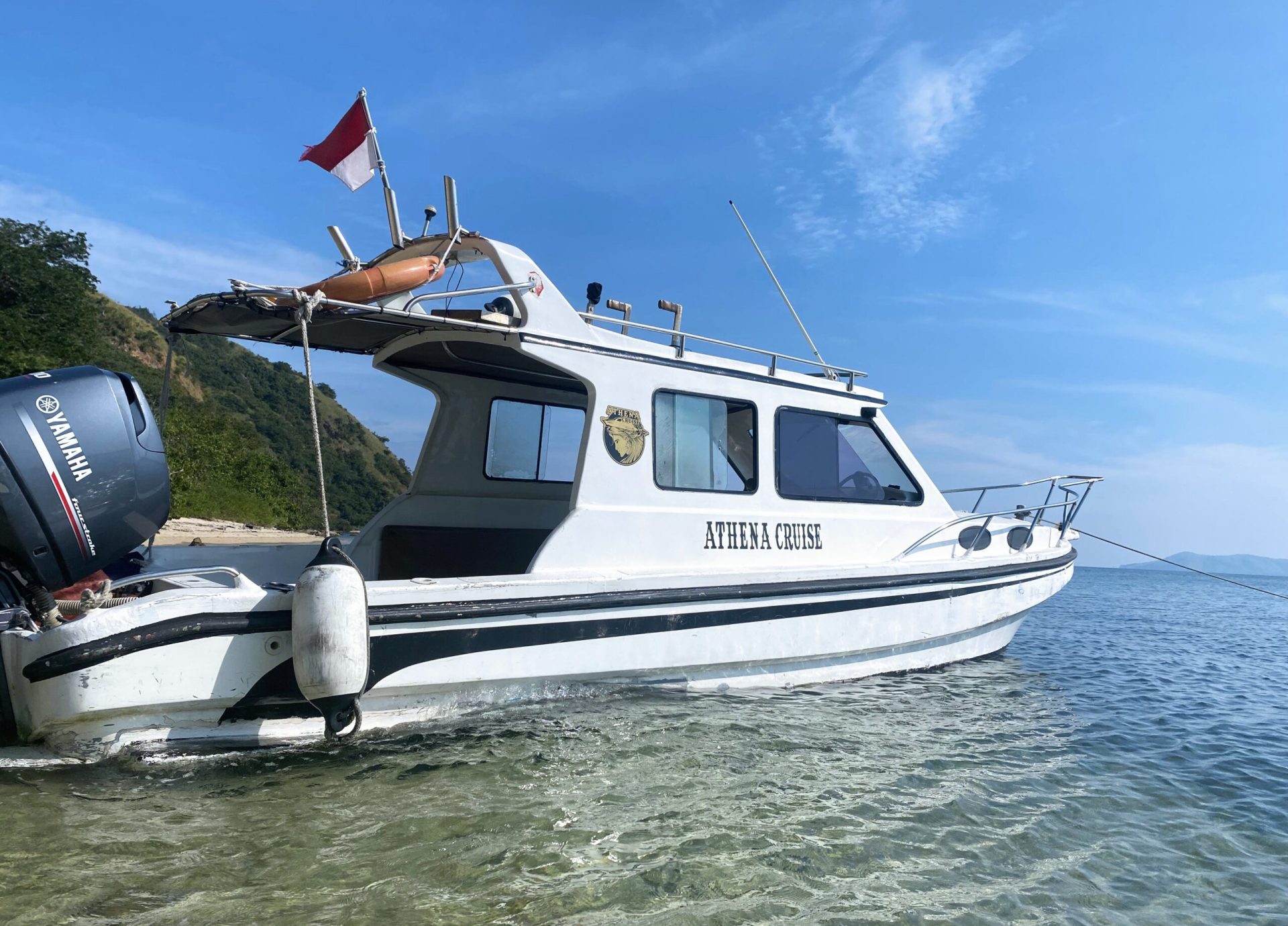 ATHENA CRUISE 4_STARFISHINDONESIA
