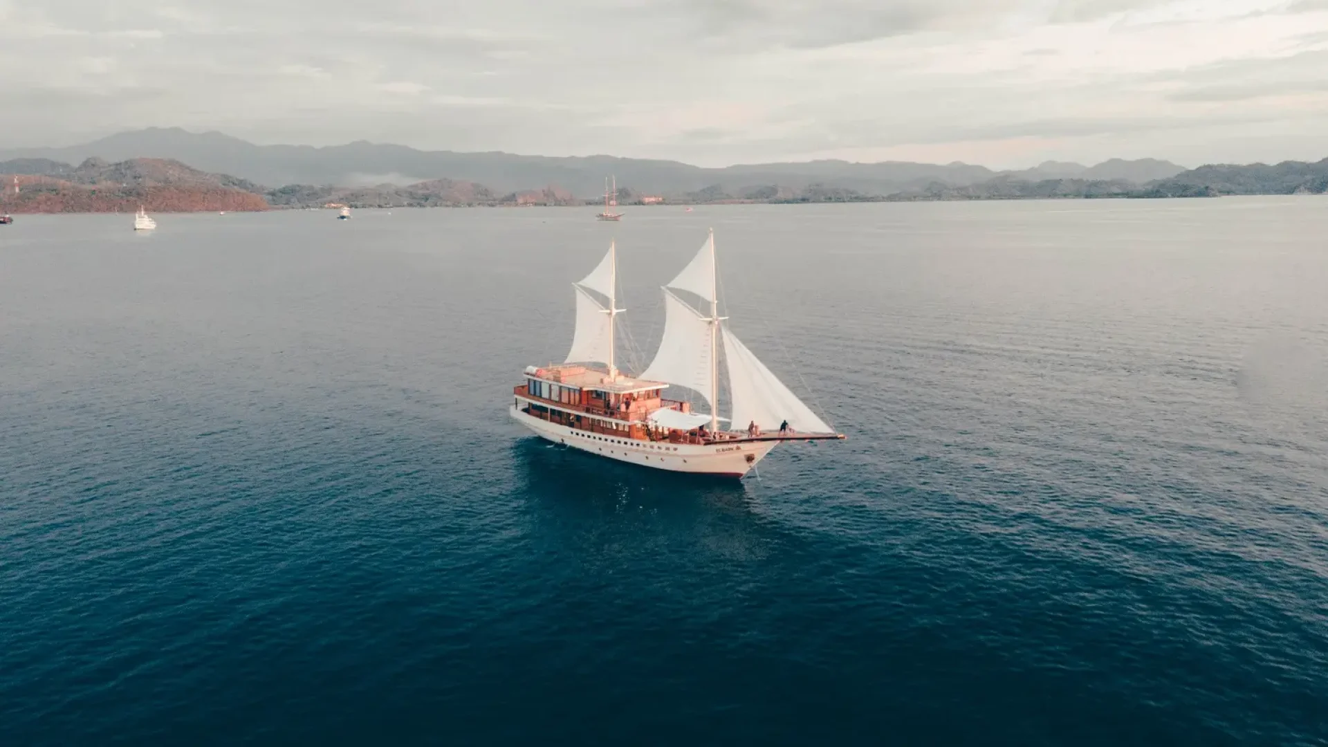 Elbark cruise drone a