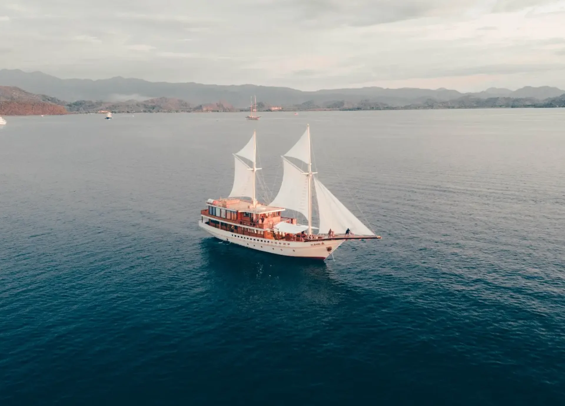 Elbark cruise drone a