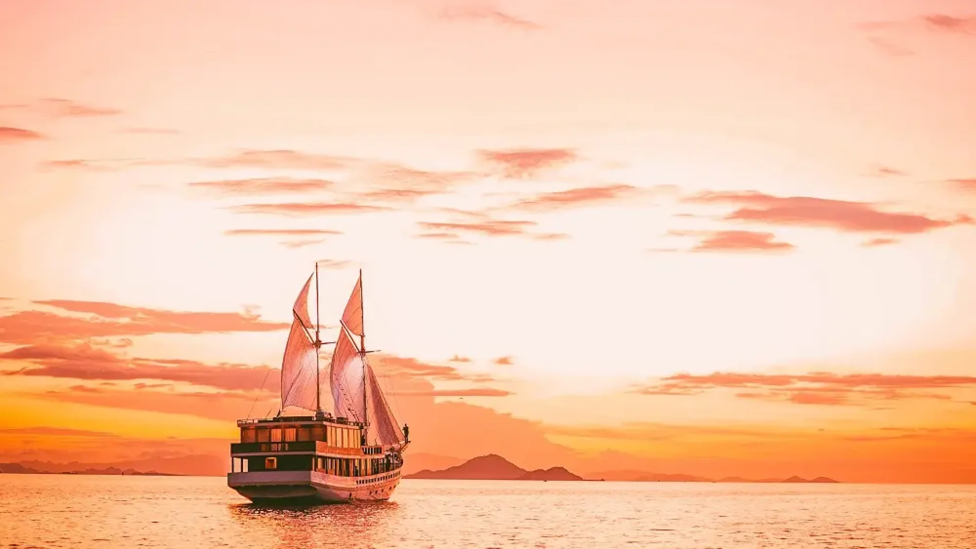 Elbark cruise drone sunset