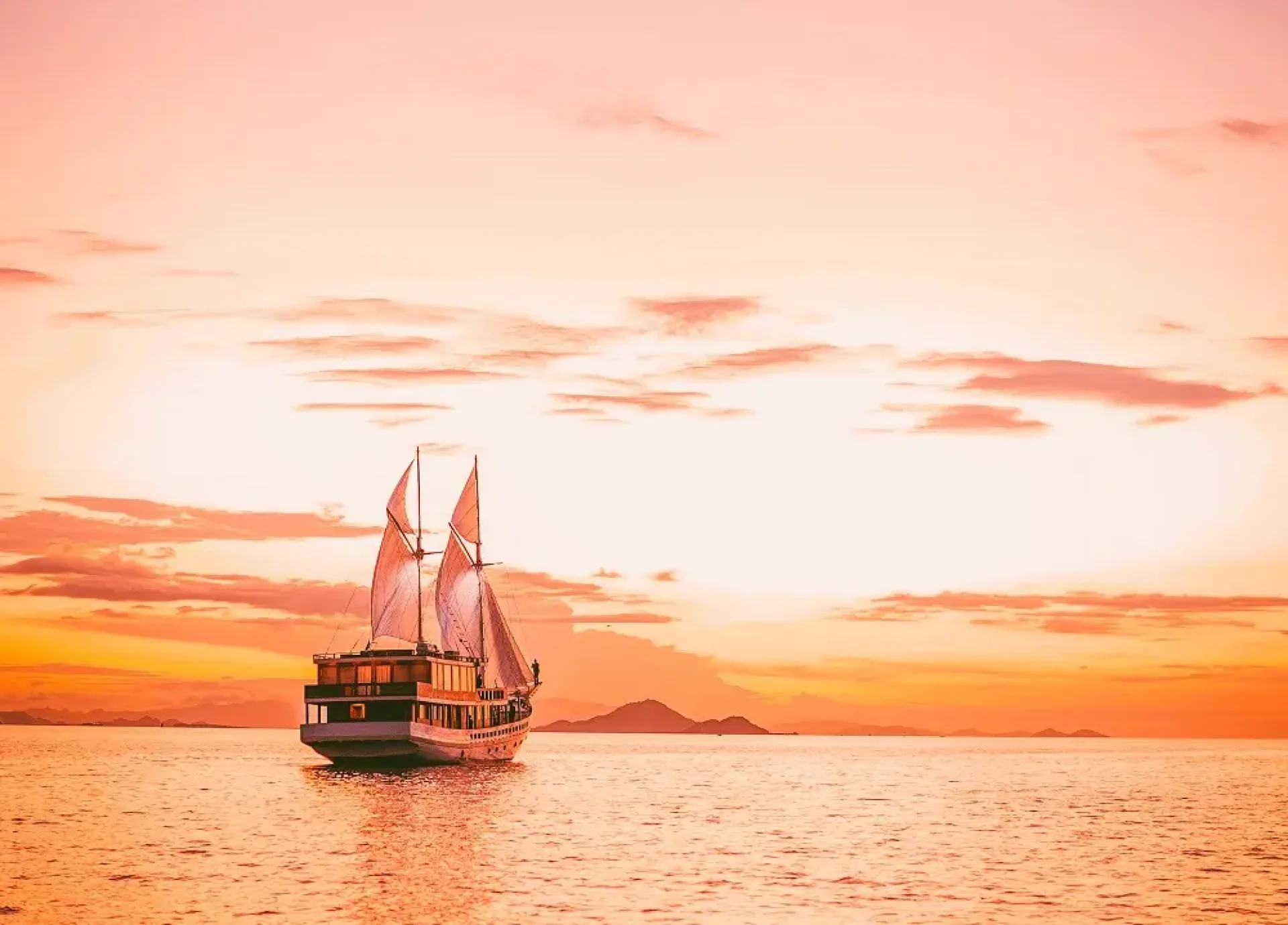 Elbark cruise drone sunset