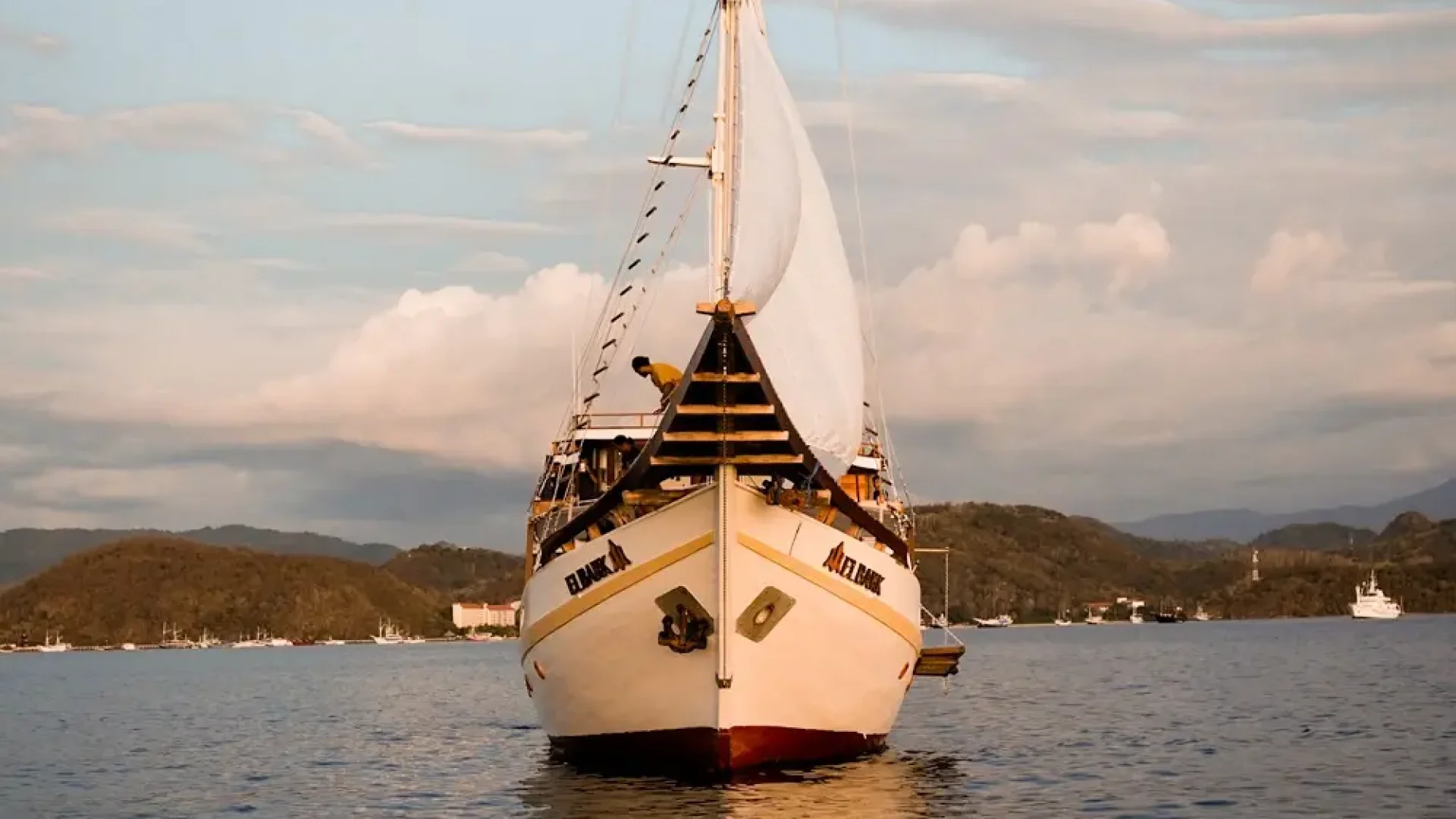 Elbark cruise