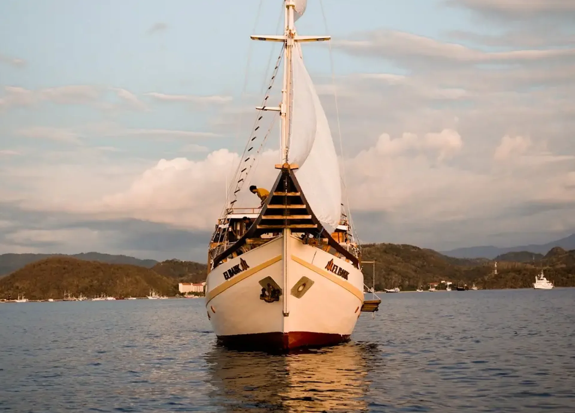 Elbark cruise