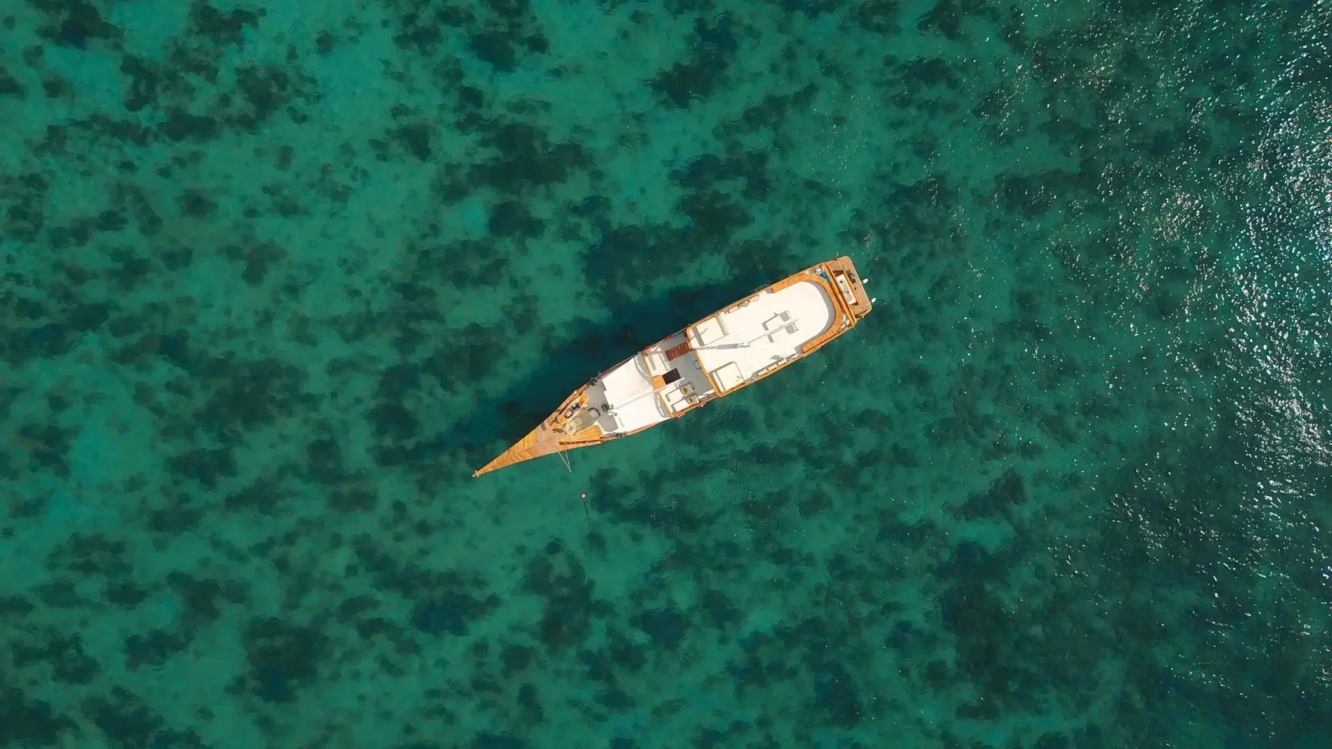 Yumana Liveaboard-b